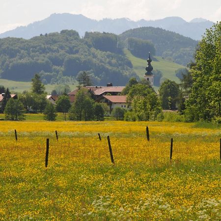 Ferienwohnungen Im Alpengaestehaus Marzoll - Bad Reichenhall Buitenkant foto