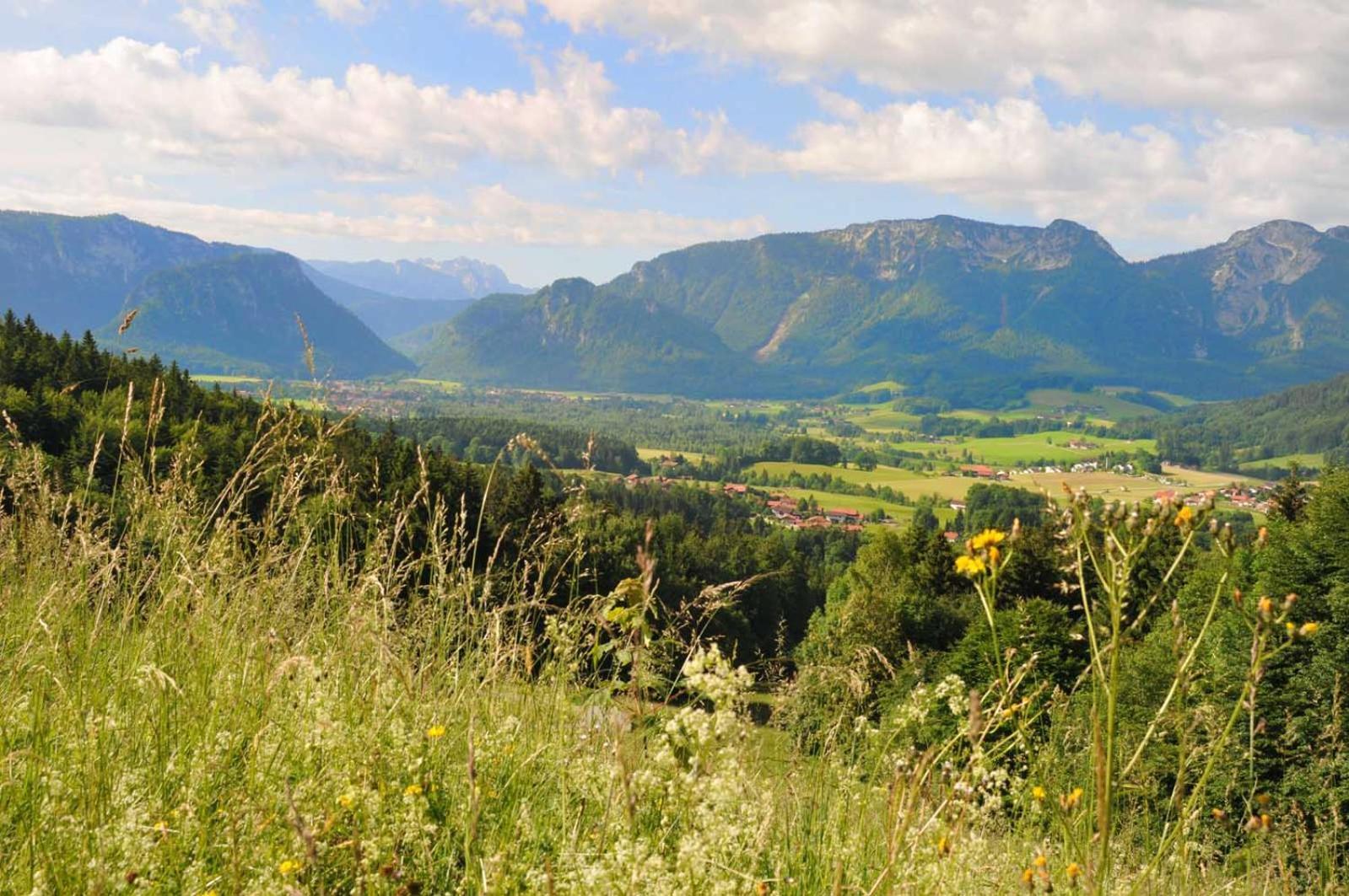 Ferienwohnungen Im Alpengaestehaus Marzoll - Bad Reichenhall Buitenkant foto