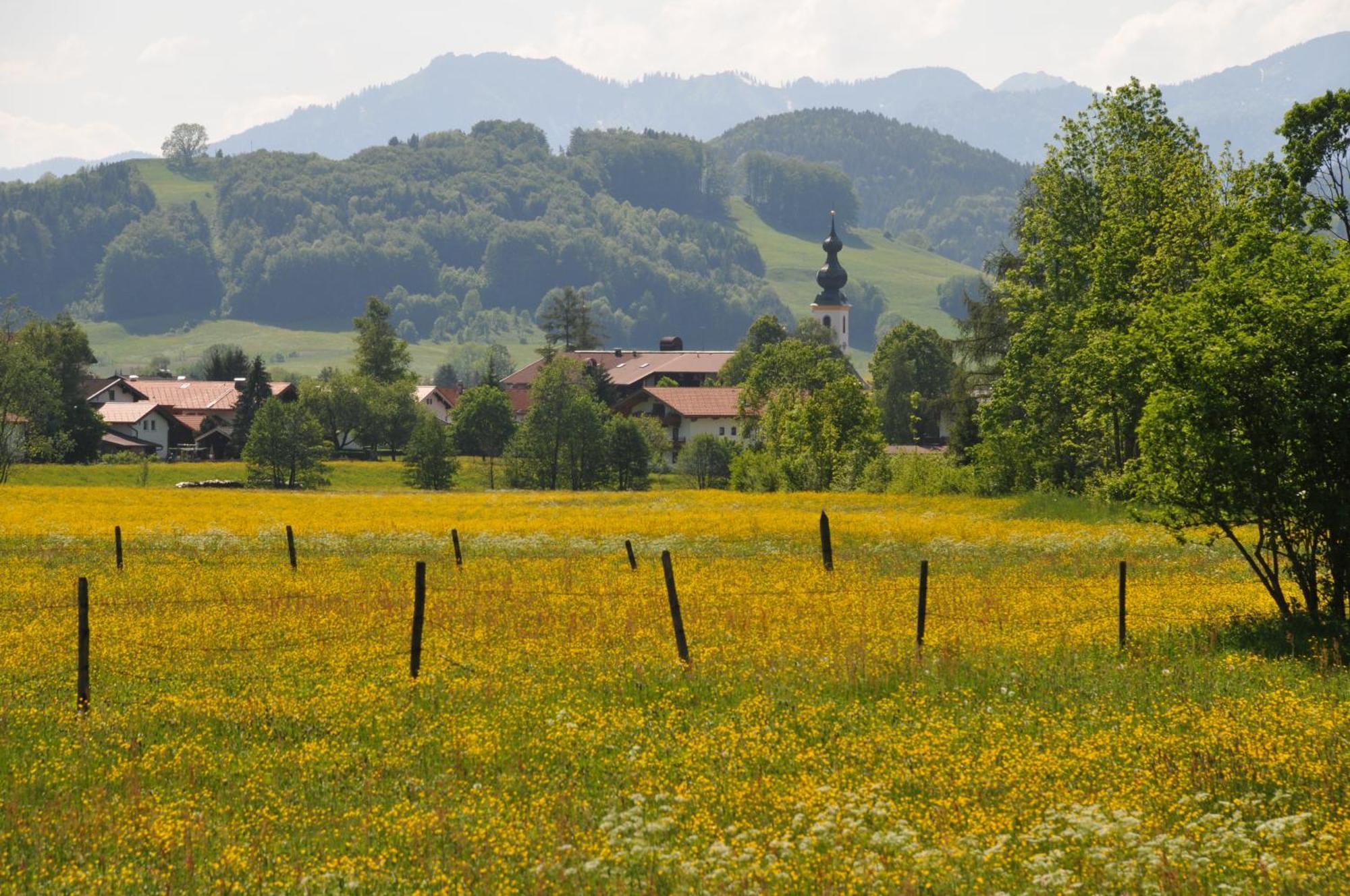 Ferienwohnungen Im Alpengaestehaus Marzoll - Bad Reichenhall Buitenkant foto