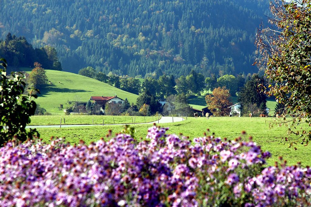 Ferienwohnungen Im Alpengaestehaus Marzoll - Bad Reichenhall Buitenkant foto